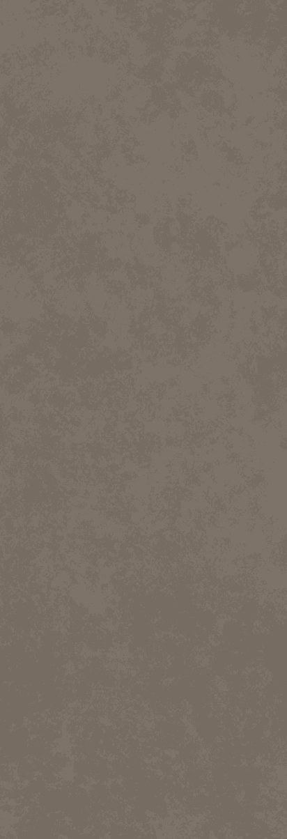 Plain Cement Coffee Grey Matt