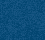 Vivaldi 13
