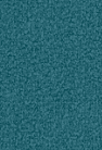 Brendy Ocean